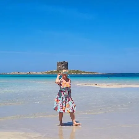 La Tre Palme Hébergement de vacances