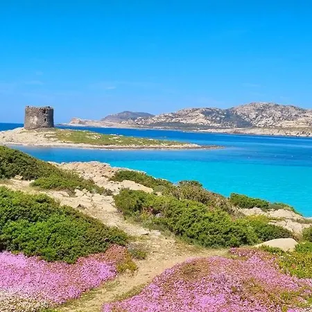 La Tre Palme