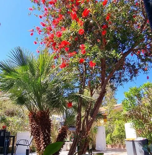 La Tre Palme * Valledoria (Sardinia)