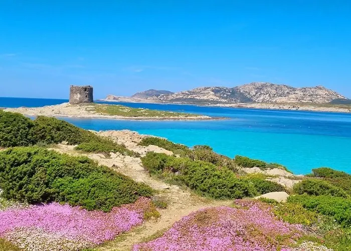 La Tre Palme